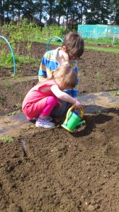 bill and bonnie allotment