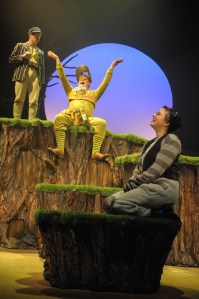 Wind in the Willows, Northampton Royal, 2013, pic by Robert Day